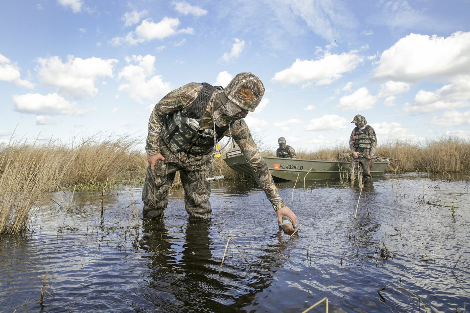 Royalty-free image - Three camouflaged people stand in shallow water near a grassy wetland. One person bends down to touch the water, while two others sit in a small boat in the background under a blue sky with clouds. Duck hunting from a jon boat in the marsh along the St. Johns River near Christmas, Florida.