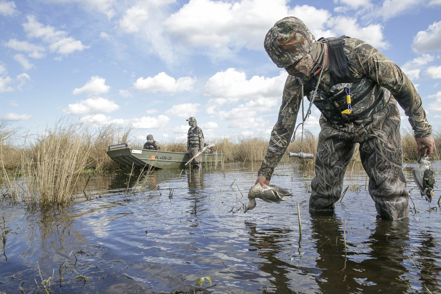 Royalty-free image - A camouflaged hunter in shallow water collects a duck, with two people in a small boat in the background and reeds surrounding them under a partly cloudy sky. Duck hunting from a jon boat in the marsh along the St. Johns River near Christmas, Florida.