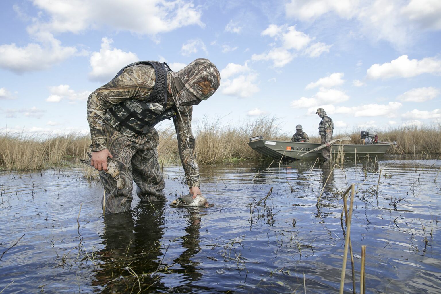 Royalty-free image - A person in camouflage gear wades through shallow water, holding a duck. In the background, two people in camouflage sit in a small boat among tall grasses under a partly cloudy sky. Duck hunting from a jon boat in the marsh along the St. Johns River near Christmas, Florida.