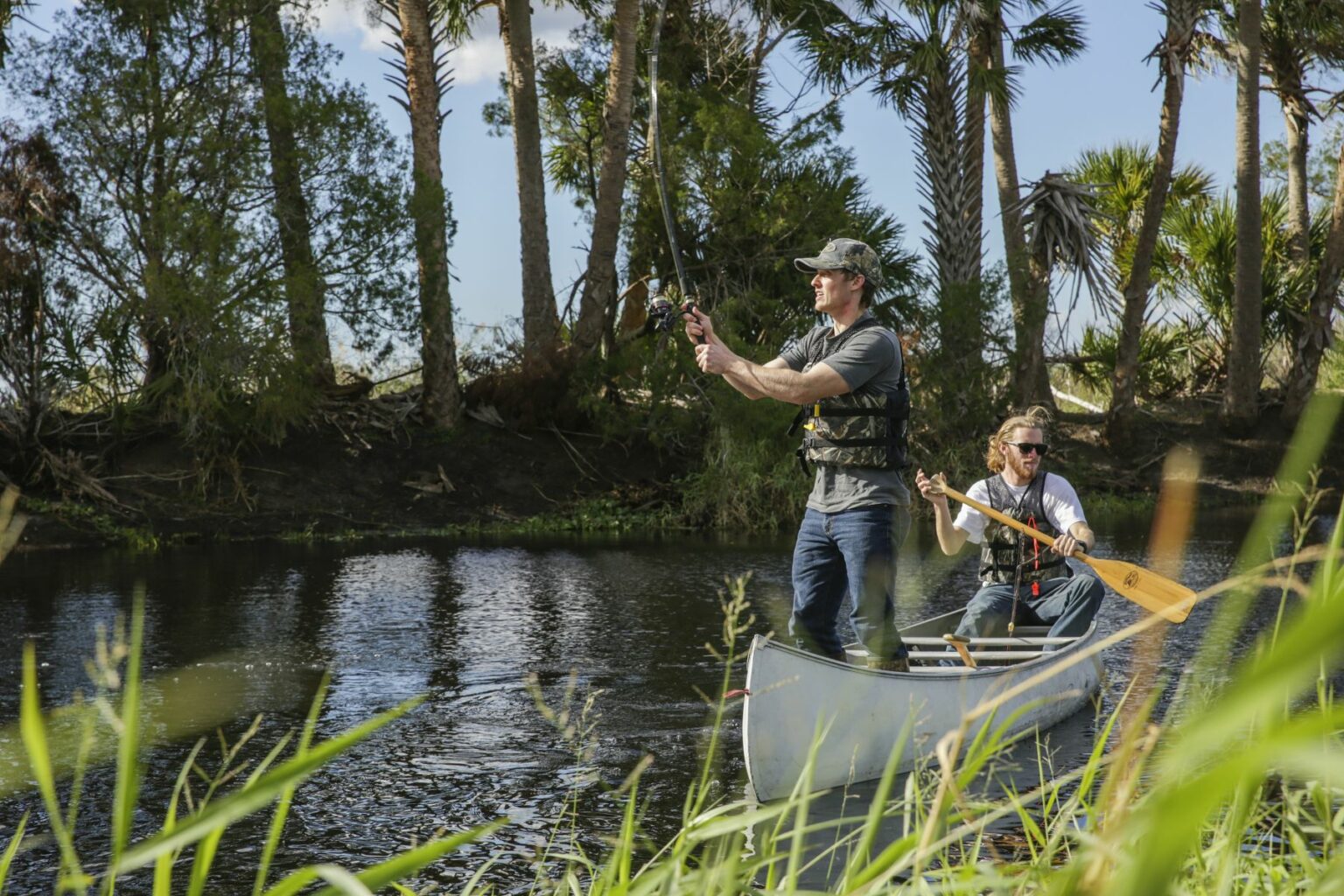 Royalty-free image - Two people canoeing on a calm river surrounded by tall trees. One person is wearing a cap and life jacket, standing while fishing with a rod. The other person is seated, holding a paddle. Grass frames the foreground. Fishing from a canoe on the St. Johns River near Christmas, Florida.