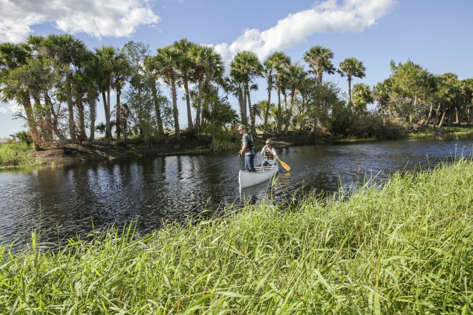 Royalty-free image - Two people are canoeing on a calm river surrounded by lush green grass and palm trees. The sky is partly cloudy, and the scene is peaceful and sunny. Fishing from a canoe on the St. Johns River near Christmas, Florida.