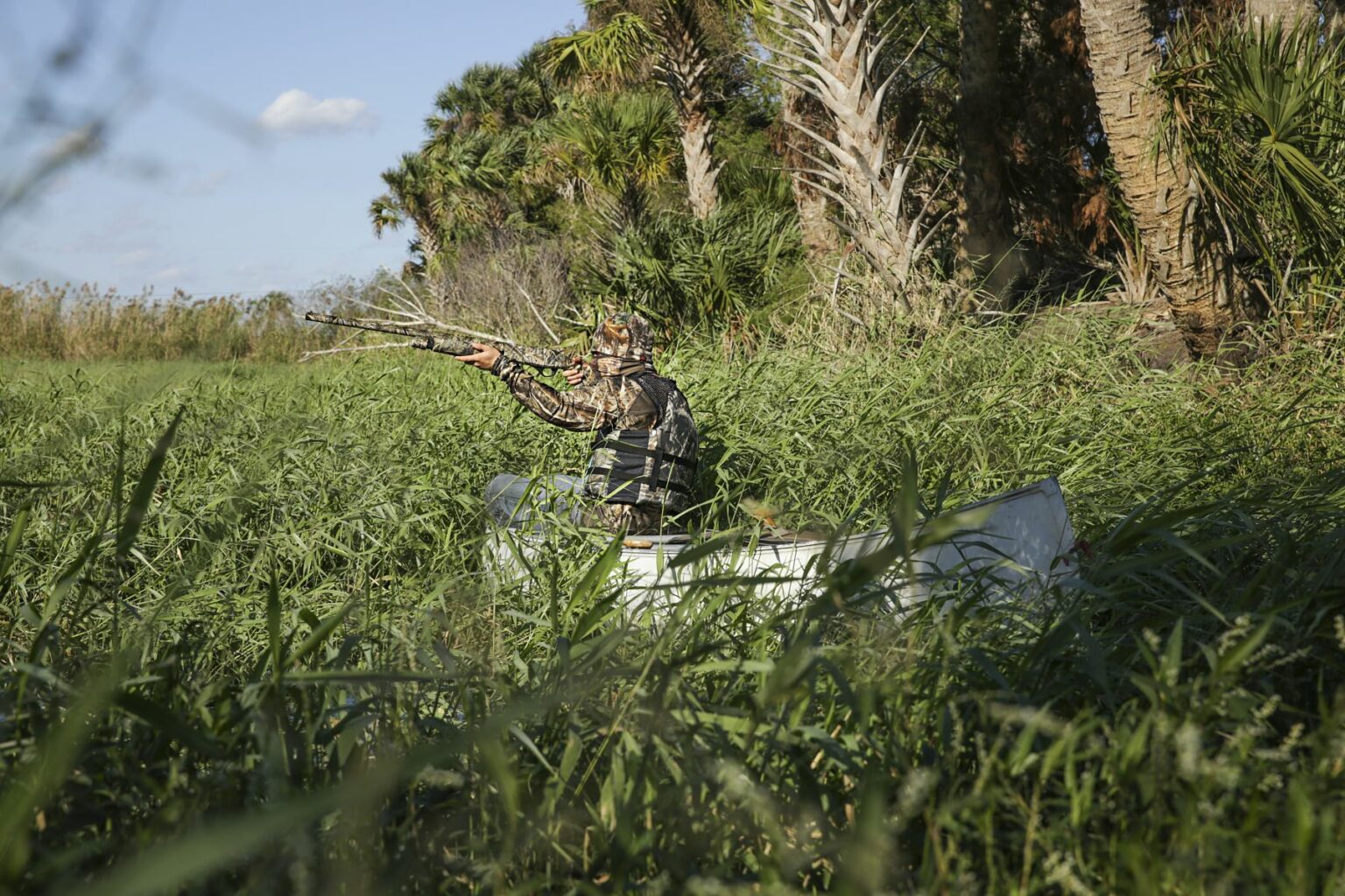 Royalty-free image - A person in camouflage stands in a boat partially hidden by tall grass, aiming a shotgun in a dense marshland area, surrounded by palm trees and greenery under a blue sky. Hunting from a canoe on the St. Johns River near Christmas, Florida.