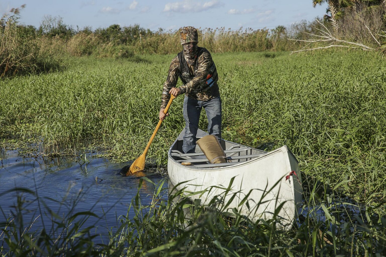 Royalty-free image - A person in camouflage clothing and a face mask paddles a canoe through a grassy marsh. The sky is clear, and the surrounding vegetation is dense and green. Hunting from a canoe on the St. Johns River near Christmas, Florida.