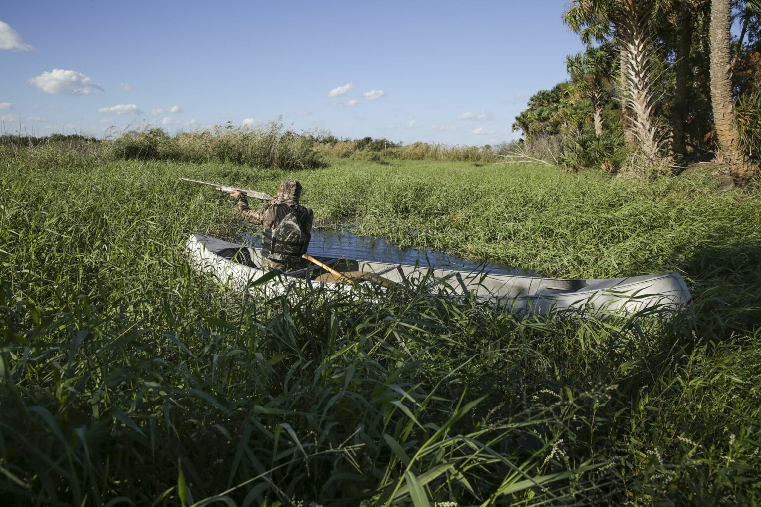 Royalty-free image - A person in camouflage attire aims a rifle while sitting in a canoe on a narrow waterway surrounded by dense grass and palm trees under a clear blue sky. Hunting from a canoe on the St. Johns River near Christmas, Florida.