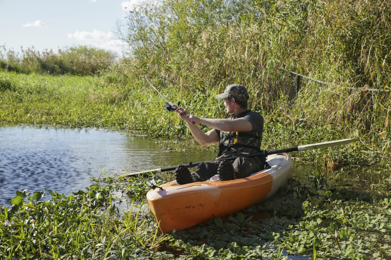 Royalty-free image - A person in a kayak is fishing in a grassy, shrub-filled area on a calm body of water. The person wears a cap and vest, holding a fishing rod, surrounded by lush greenery and under a clear blue sky. Fishing from a kayak on the St. Johns River near Christmas, Florida.