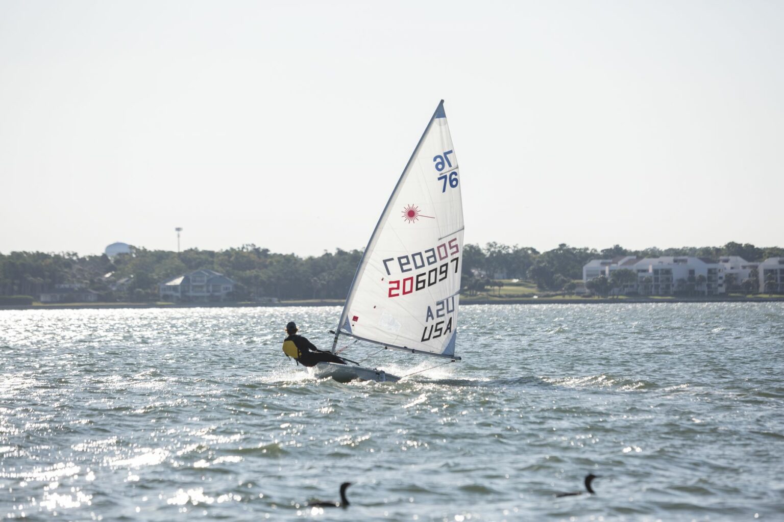 License-free image - A person sails a small boat with a single sail on a sunlit body of water. The sail shows numbers &quot;206097&quot; and &quot;USA.&quot; The shoreline, with trees and buildings, is visible in the background. Birds float on the water in the foreground. Sailing while wearing a properly fitting life vest in the Sand Key inlet in Clearwater Beach.