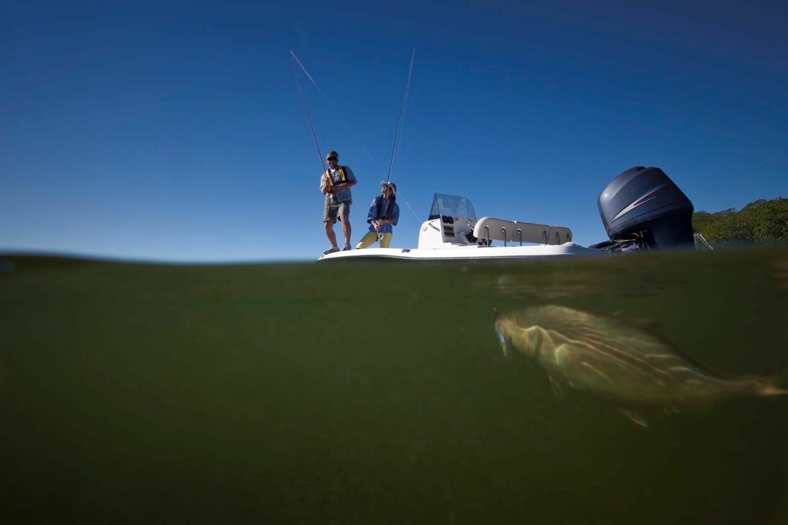 License-free image Two people stand on a white boat fishing. The photo is taken from a half-submerged perspective, capturing the top of a clear sky and the underwater view of a fish hooked on a line. The boat motor is visible on the right side.